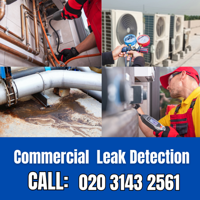 Commercial Leak Detection Services in Belgravia | Belgravia Leak Detection