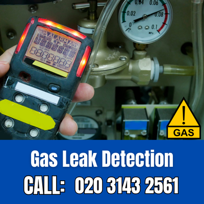 Expert Gas Leak Detection Services in Belgravia | Belgravia Leak Detection