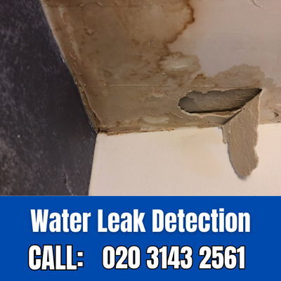 Expert Water Leak Detection Services in Belgravia | Belgravia Leak Detection